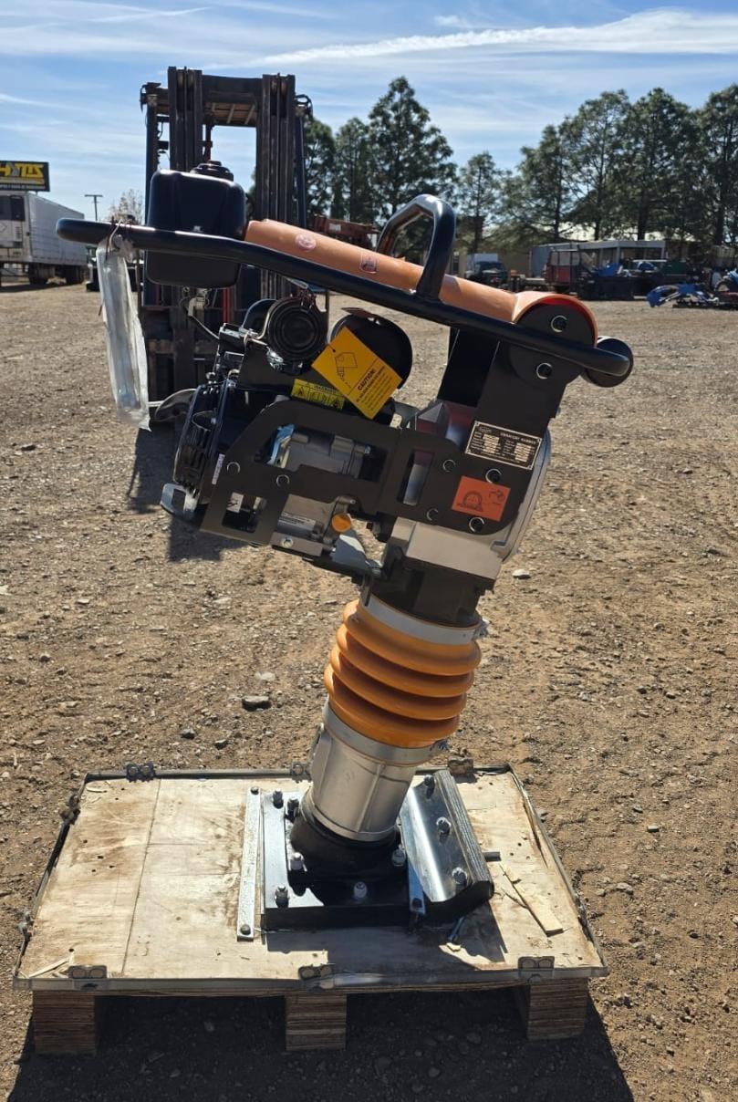 BAILARINA O PATA DE ELEFANTE