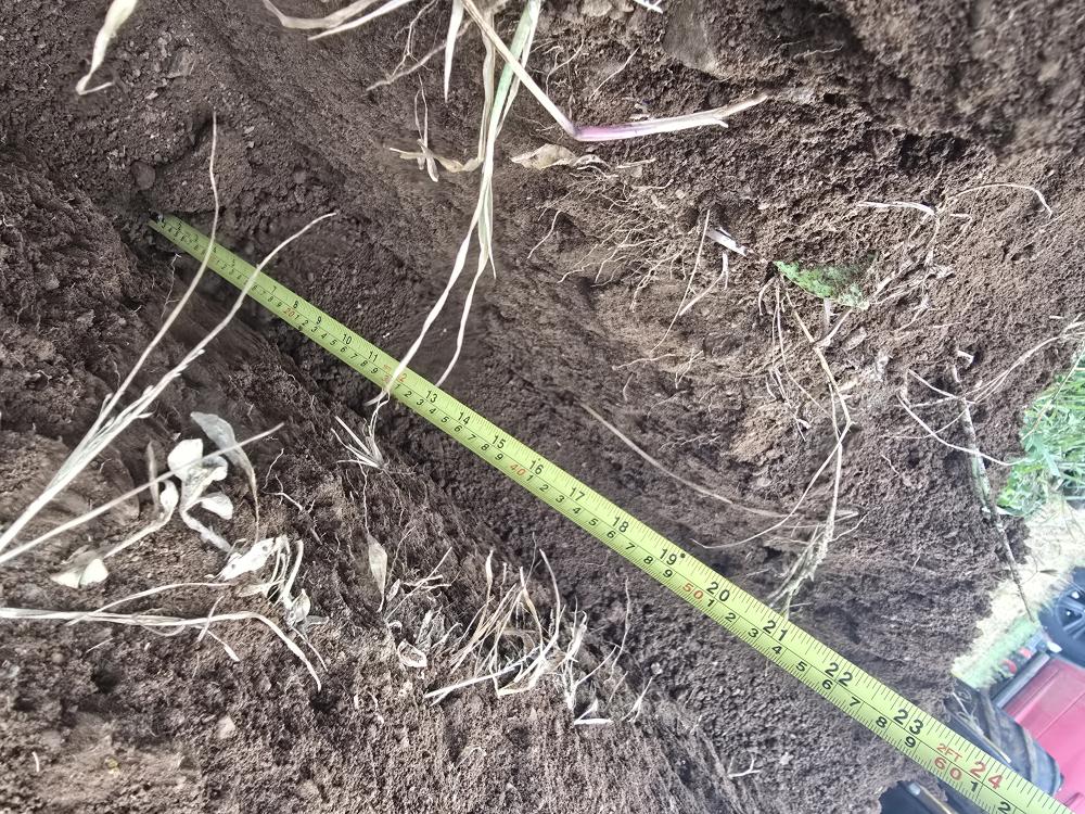 ZANJADORA A GASOLINA