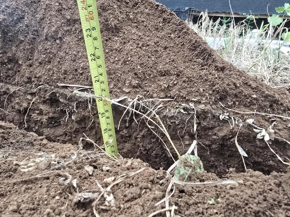 ZANJADORA A GASOLINA