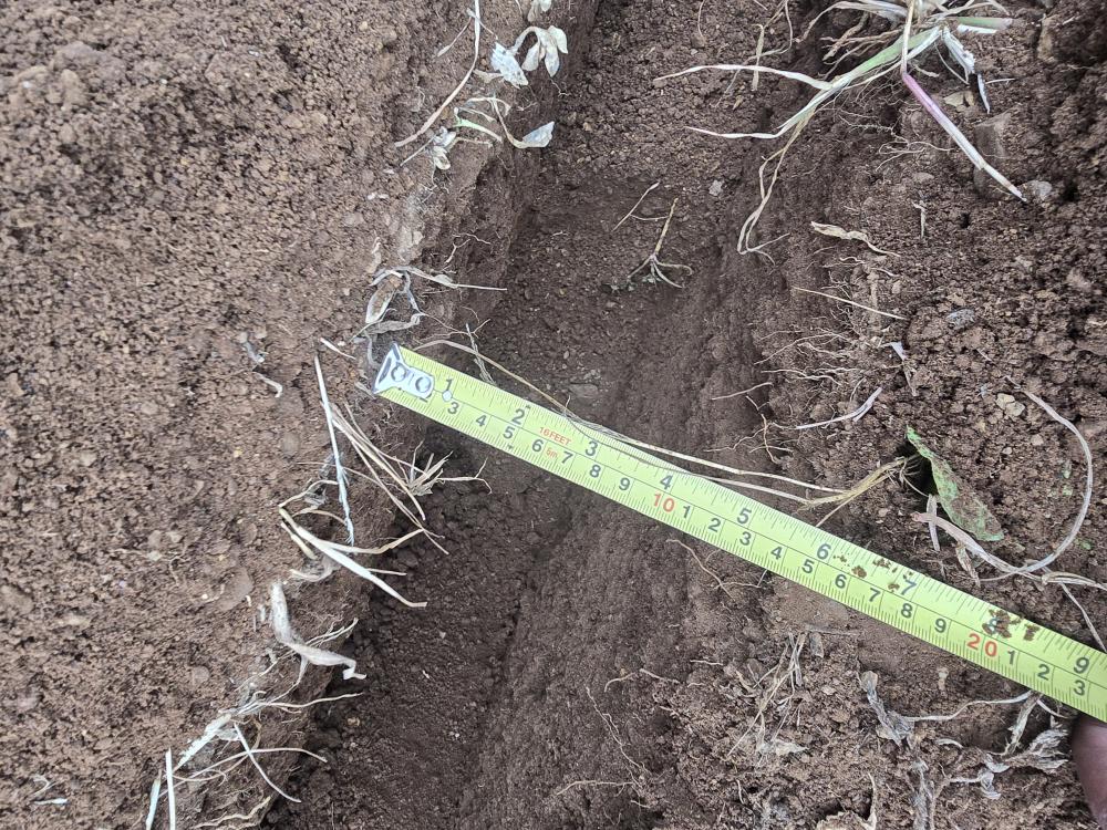 ZANJADORA A GASOLINA